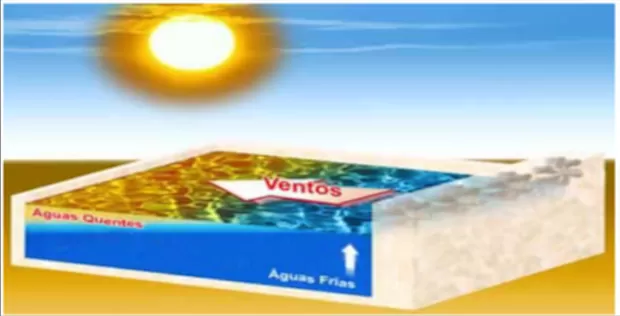 O que é o fenômeno El Niño e como ele ocorre? 3 ressurgência