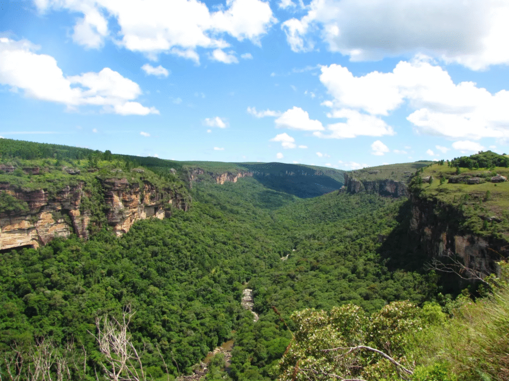 Ecoturismo no Paraná: Destinos incríveis Além do Comum 2 canyon de jaguaricatu 1