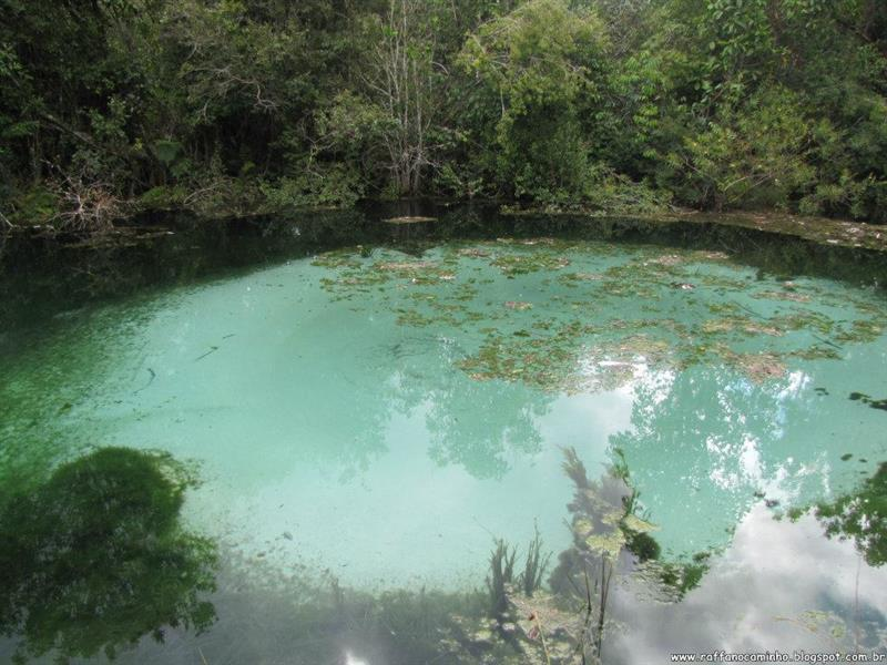 Ecoturismo no Paraná: Destinos incríveis Além do Comum 3 poco do encanto senges 1