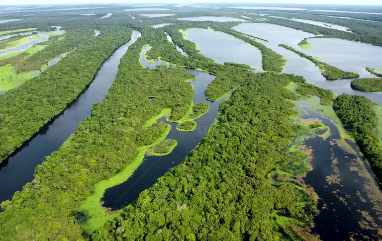 imagem do Destino de ecoturismo no Brasil: Anavilhanas