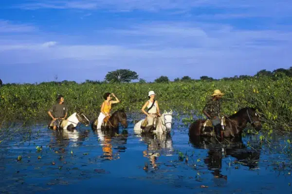 imagem do Destino de ecoturismo no Brasil: Pantanal 