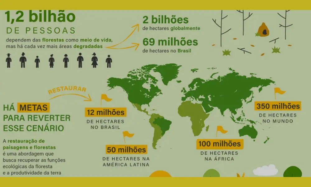 Quadro com metas da Organização das Nações Unidas (ONU) que declarou o período de 2021 a 2030 como a Década da Restauração de Ecossistemas no combate à desertificação.