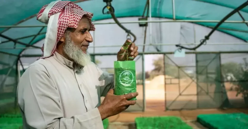 Abdullah Ibrahim Alissa, gerente do Parque Nacional Thadiq, inspeciona mudas em viveiro no deserto da Arábia Saudita em processo de regeneração
