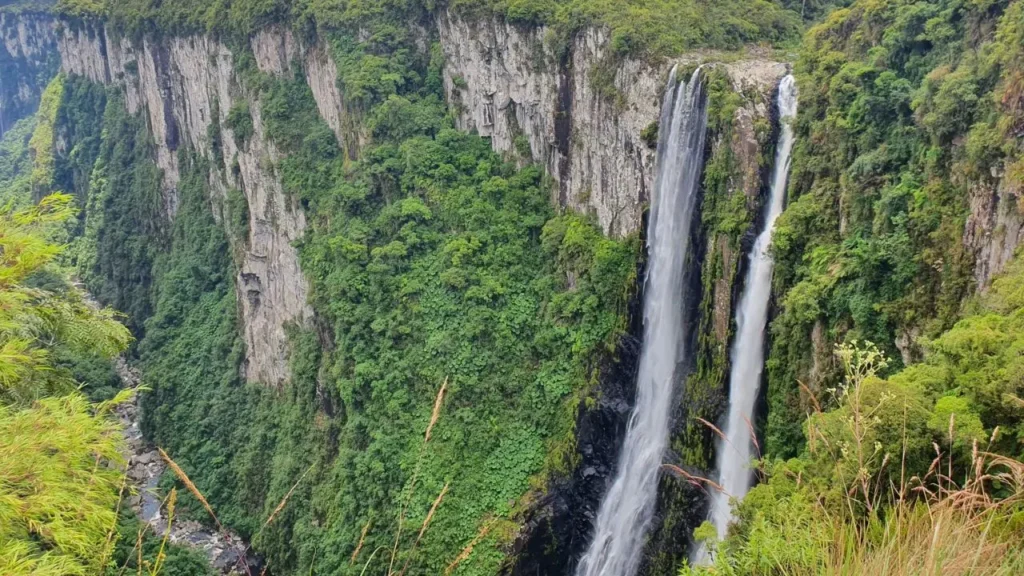 Mata Atlântica: 10 Trilhas Imperdíveis em Parques Nacionais 6 Cachoeira das Andorinhas