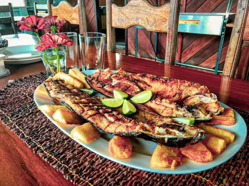 Ecoturismo na Amazônia: Aventura Autêntica e Sustentável 7 Gastronomia ribeirinha da Amazônia