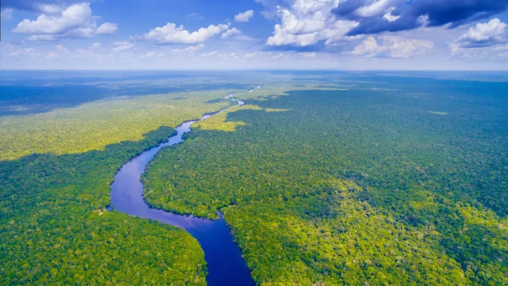 Por Que os Biomas Brasileiros São Importantes para o Clima? 6 bioma amazonia