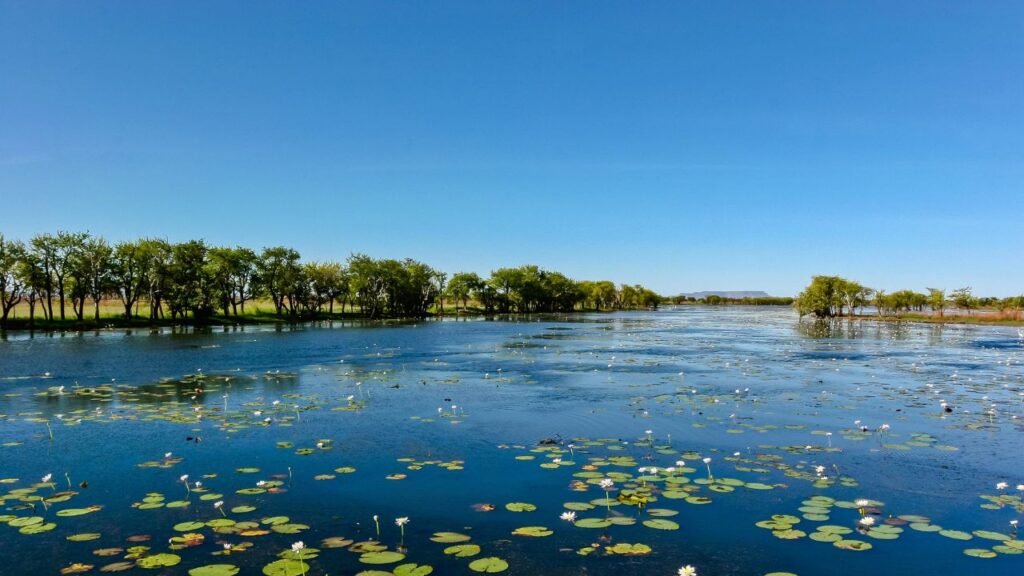 Por Que os Biomas Brasileiros São Importantes para o Clima? 11 bioma pantanal