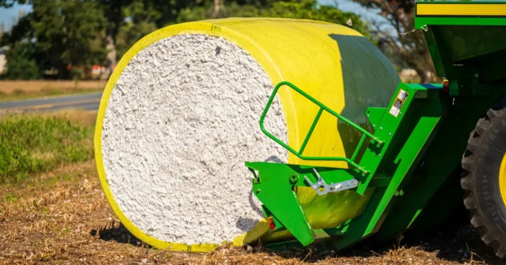 agronegocio plantação de algodão
