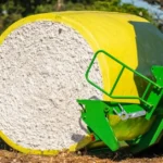 agronegocio plantação de algodão