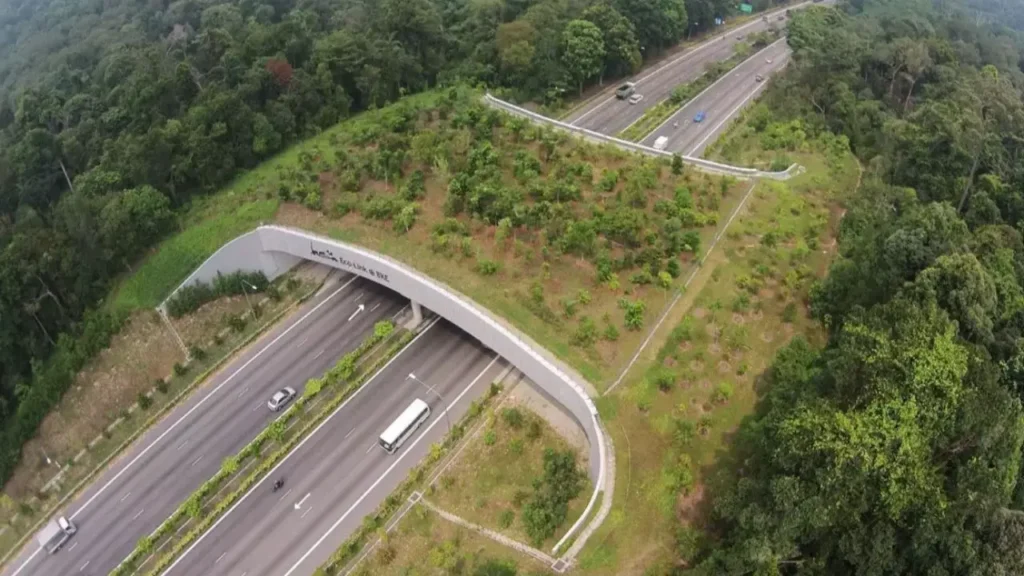 Mudanças Climáticas no Brasil: Impactos Regionais e Desafios 10 corredor ecologico
