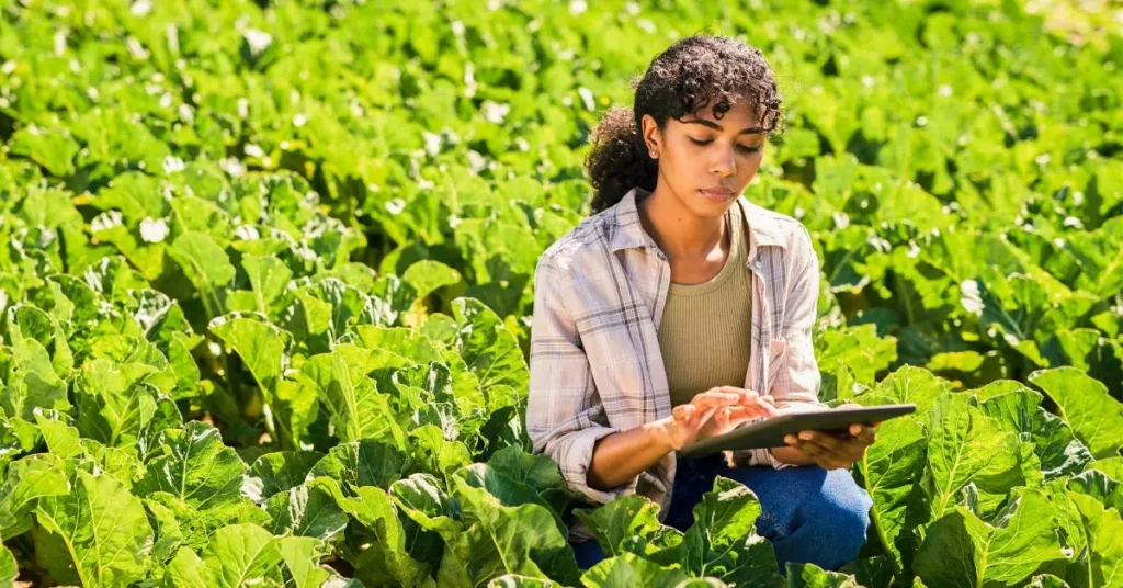 pesquisa e desenvolvimento no agronegócio