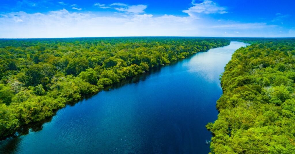 Por Que os Biomas Brasileiros São Importantes para o Clima? 1 Por Que os Biomas Brasileiros São Importantes para o Clima