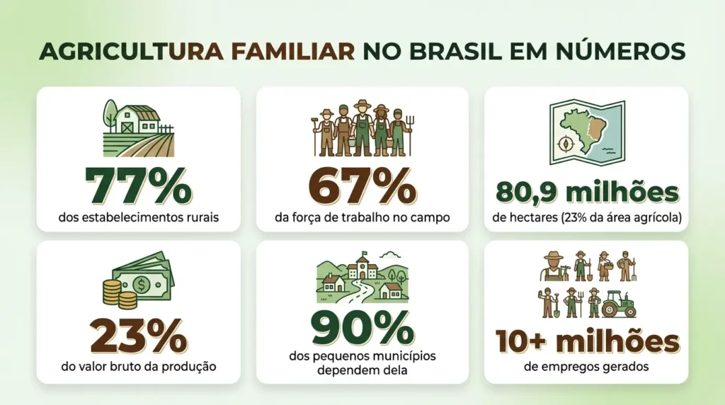 Agricultura Familiar no Brasil: A Força que Alimenta a Nação 2 infográfico com dados da agricultura familiar no Brasil